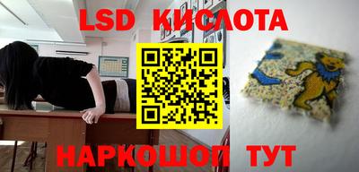 крисы Гагарин