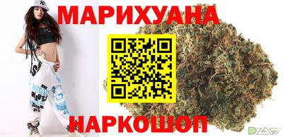 крисы Гагарин