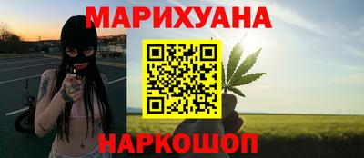 крисы Гагарин