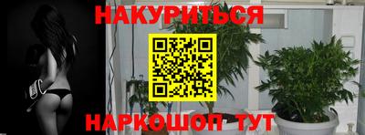 крисы Гагарин